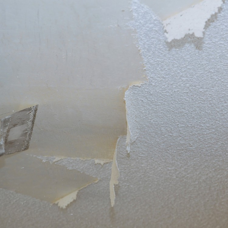 Painting service in Lexington, NC